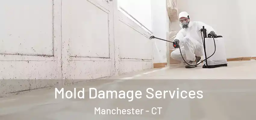 Mold Damage Services Manchester - CT