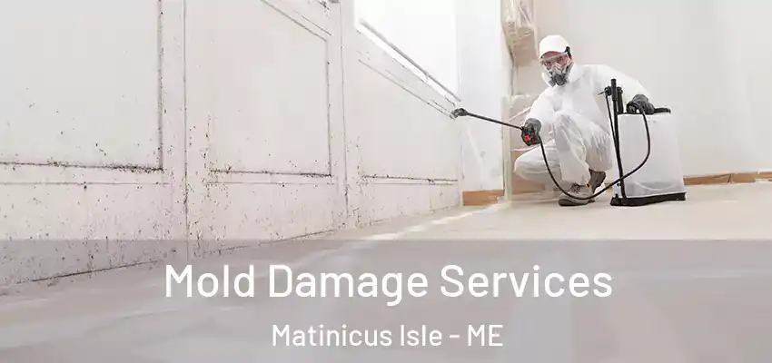 Mold Damage Services Matinicus Isle - ME