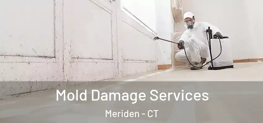Mold Damage Services Meriden - CT