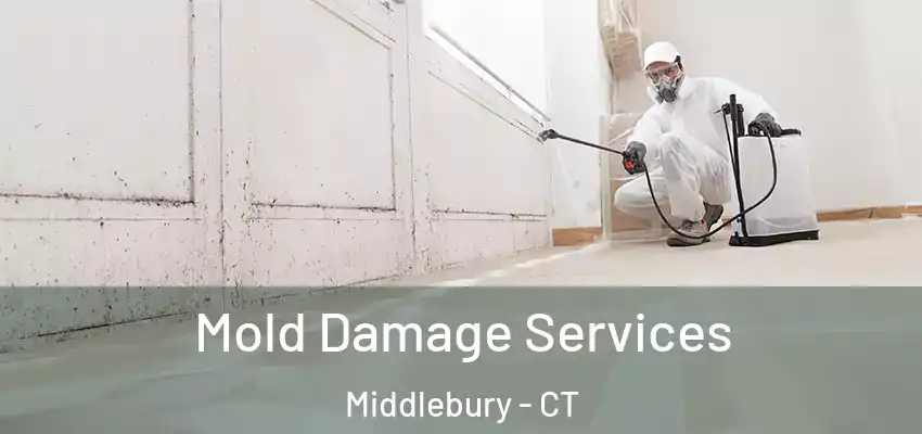 Mold Damage Services Middlebury - CT