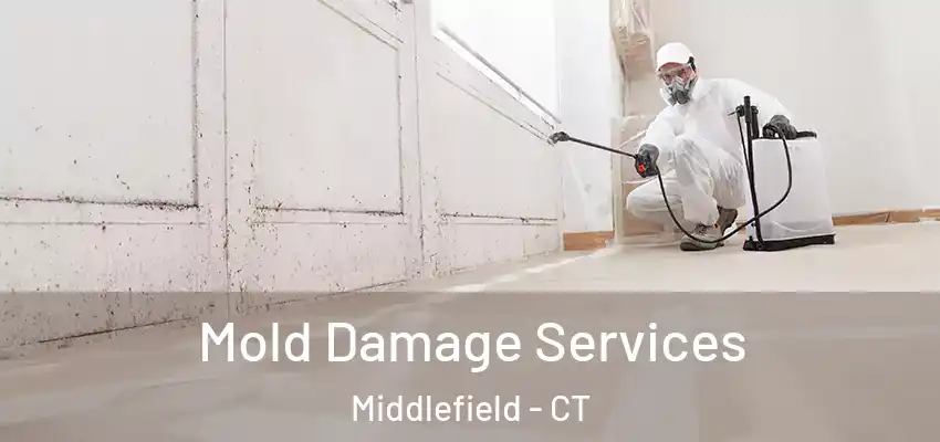Mold Damage Services Middlefield - CT