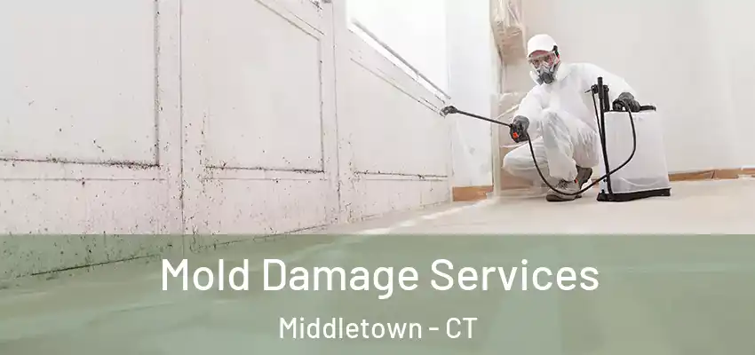 Mold Damage Services Middletown - CT