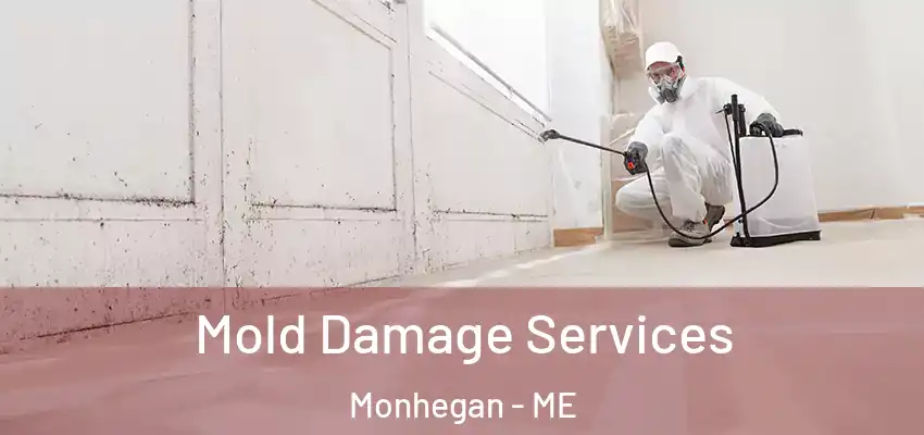 Mold Damage Services Monhegan - ME