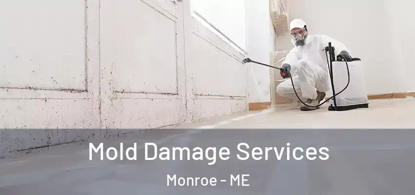Mold Damage Services Monroe - ME