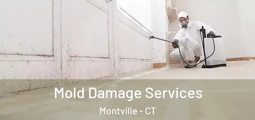 Mold Damage Services Montville - CT