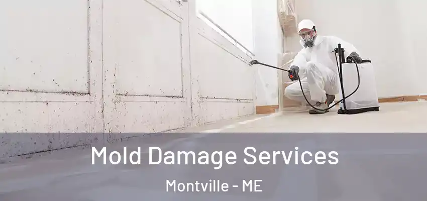  Mold Damage Services Montville - ME