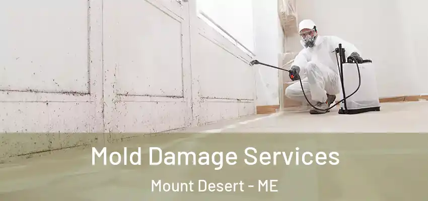 Mold Damage Services Mount Desert - ME