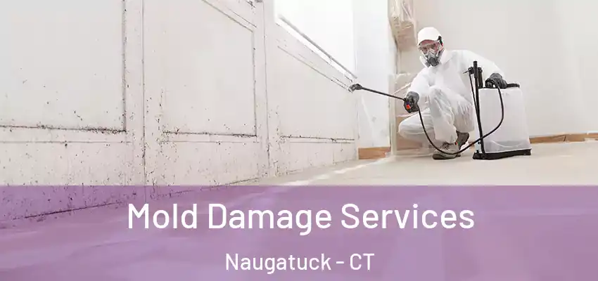 Mold Damage Services Naugatuck - CT