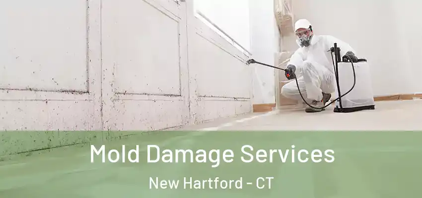 Mold Damage Services New Hartford - CT