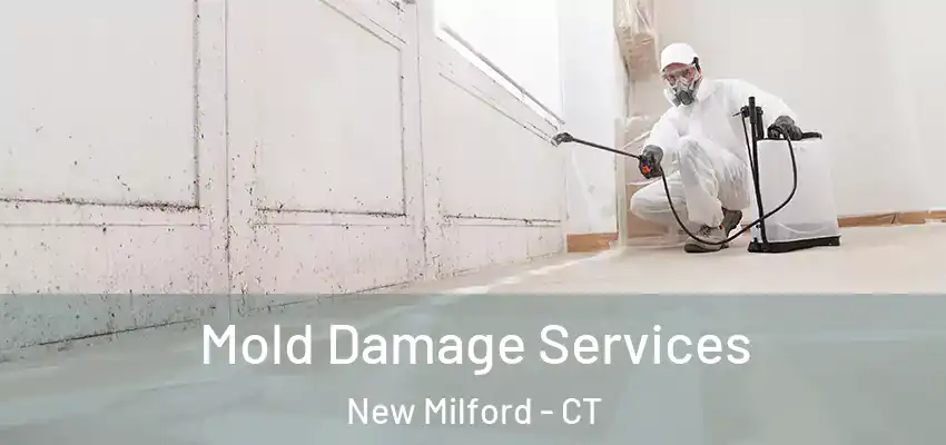 Mold Damage Services New Milford - CT