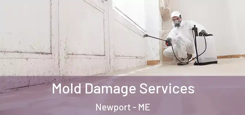 Mold Damage Services Newport - ME