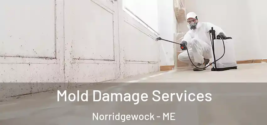 Mold Damage Services Norridgewock - ME