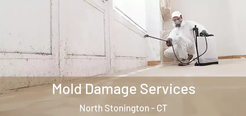  Mold Damage Services North Stonington - CT