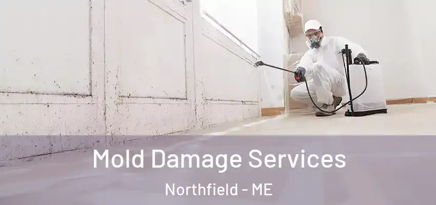 Mold Damage Services Northfield - ME