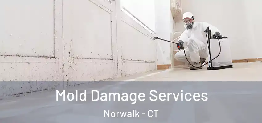 Mold Damage Services Norwalk - CT