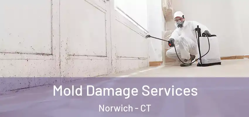 Mold Damage Services Norwich - CT