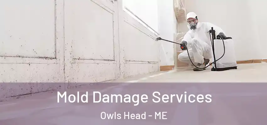 Mold Damage Services Owls Head - ME