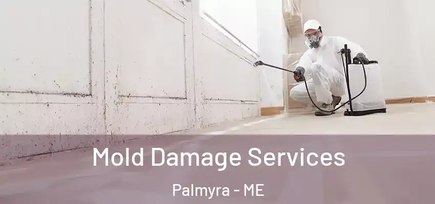 Mold Damage Services Palmyra - ME