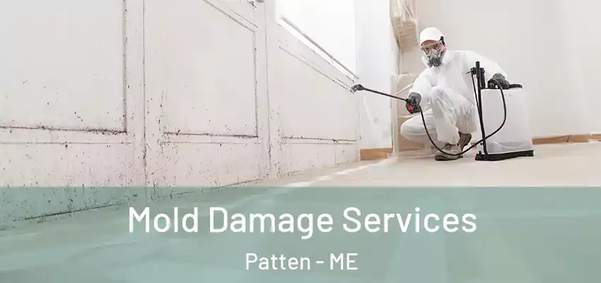 Mold Damage Services Patten - ME