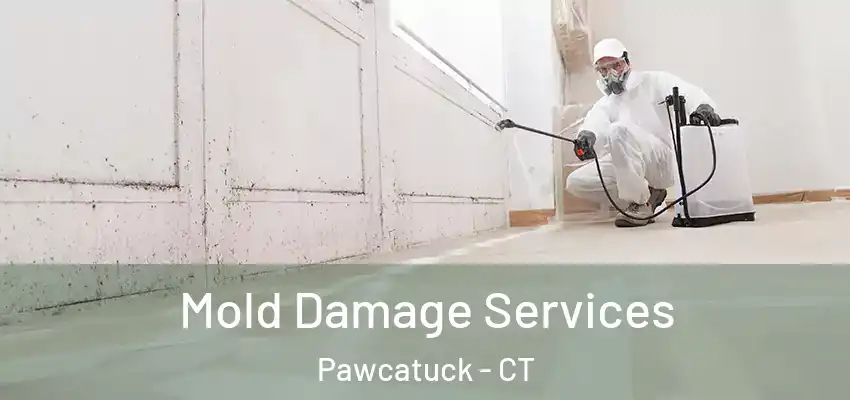 Mold Damage Services Pawcatuck - CT