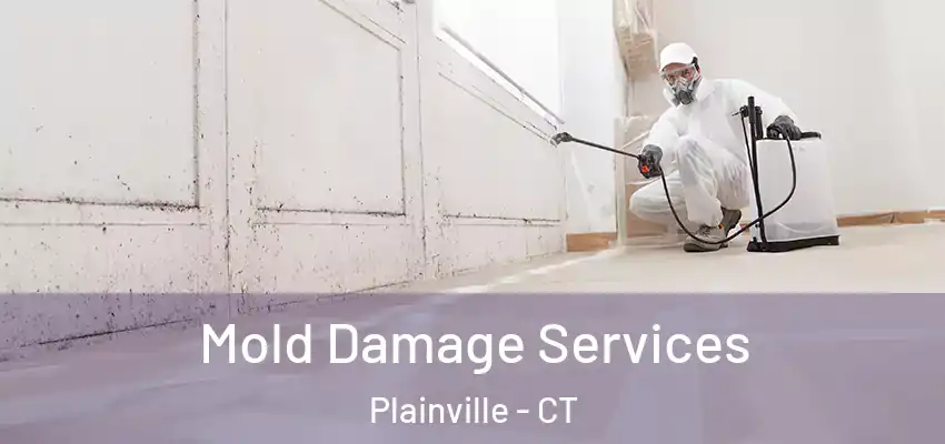 Mold Damage Services Plainville - CT