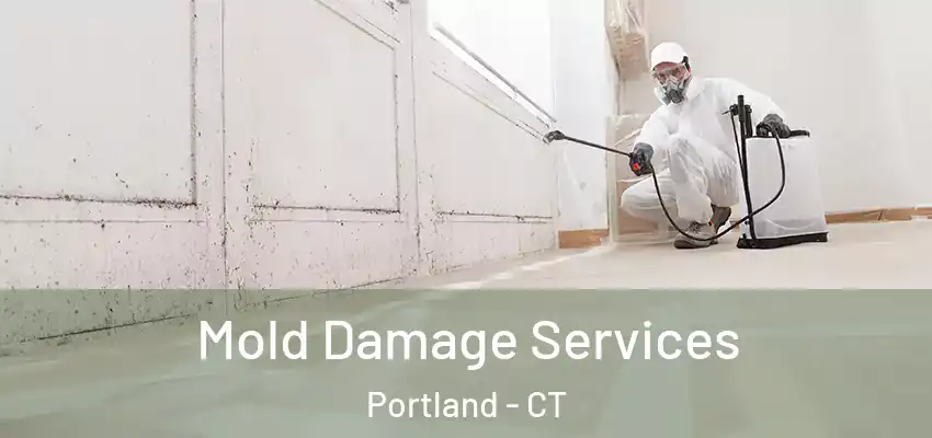  Mold Damage Services Portland - CT