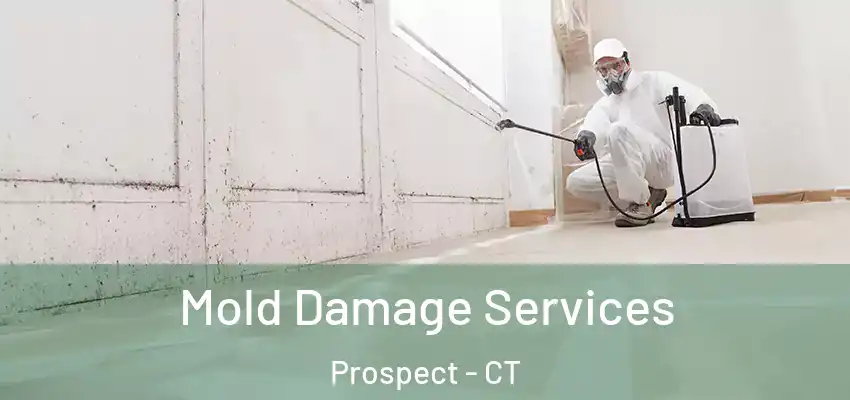 Mold Damage Services Prospect - CT