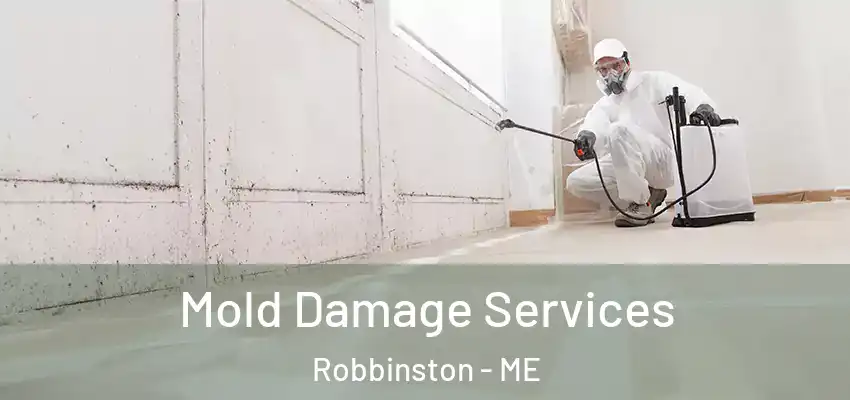 Mold Damage Services Robbinston - ME