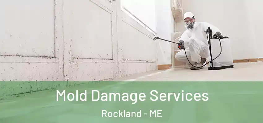 Mold Damage Services Rockland - ME