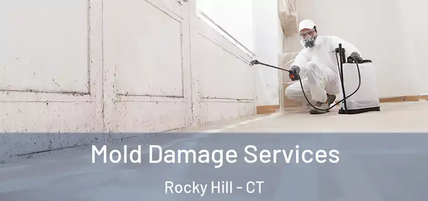 Mold Damage Services Rocky Hill - CT