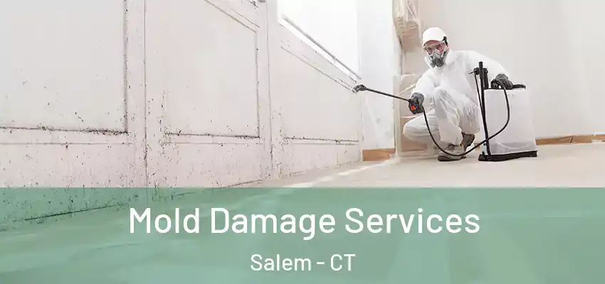 Mold Damage Services Salem - CT