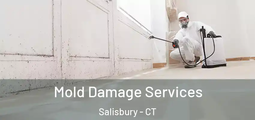Mold Damage Services Salisbury - CT