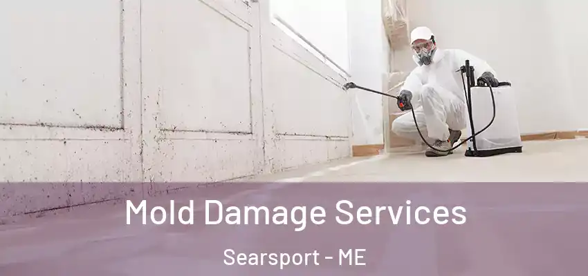 Mold Damage Services Searsport - ME