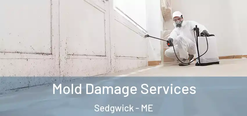Mold Damage Services Sedgwick - ME