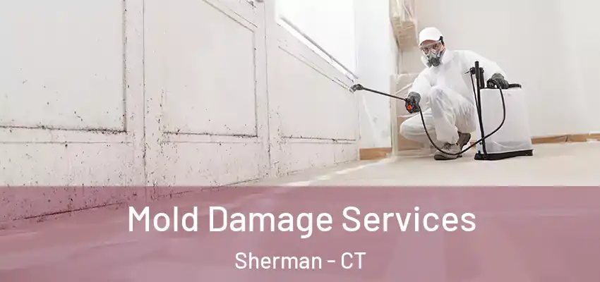 Mold Damage Services Sherman - CT