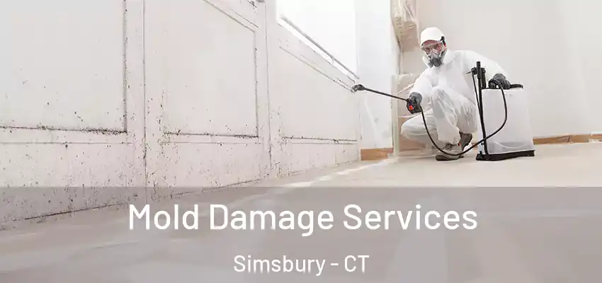 Mold Damage Services Simsbury - CT
