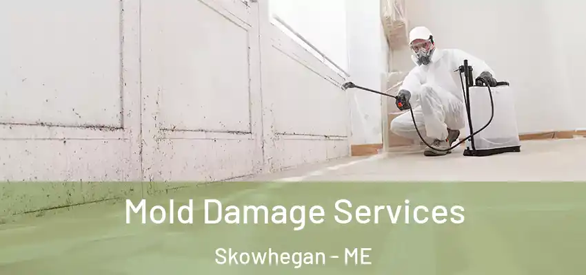 Mold Damage Services Skowhegan - ME