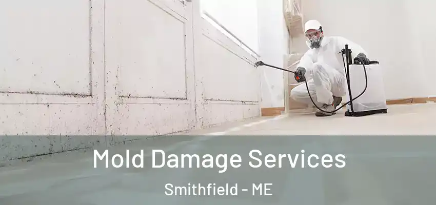 Mold Damage Services Smithfield - ME