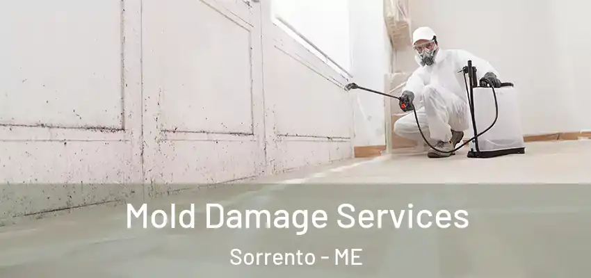 Mold Damage Services Sorrento - ME
