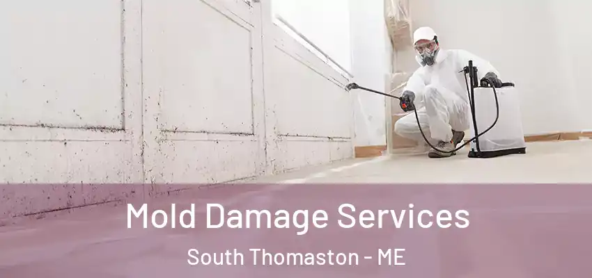 Mold Damage Services South Thomaston - ME