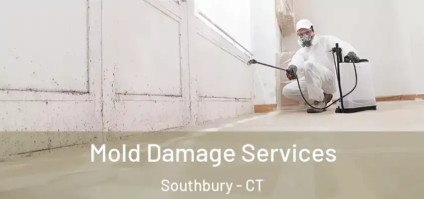 Mold Damage Services Southbury - CT