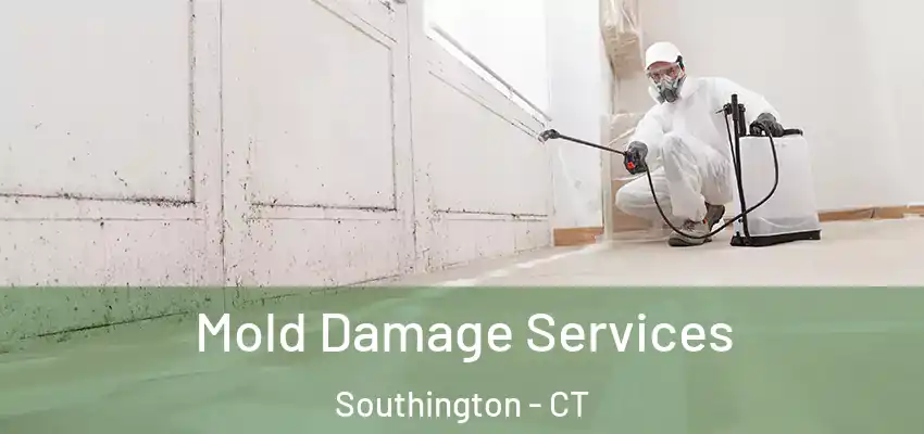 Mold Damage Services Southington - CT
