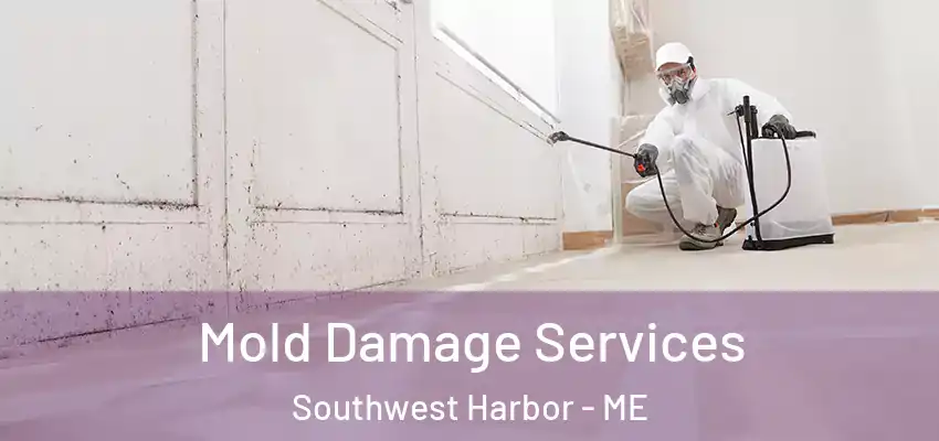  Mold Damage Services Southwest Harbor - ME