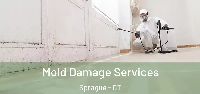 Mold Damage Services Sprague - CT