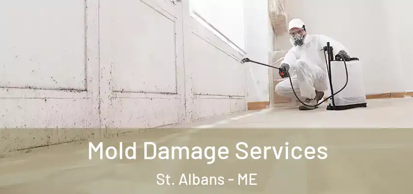 Mold Damage Services St. Albans - ME