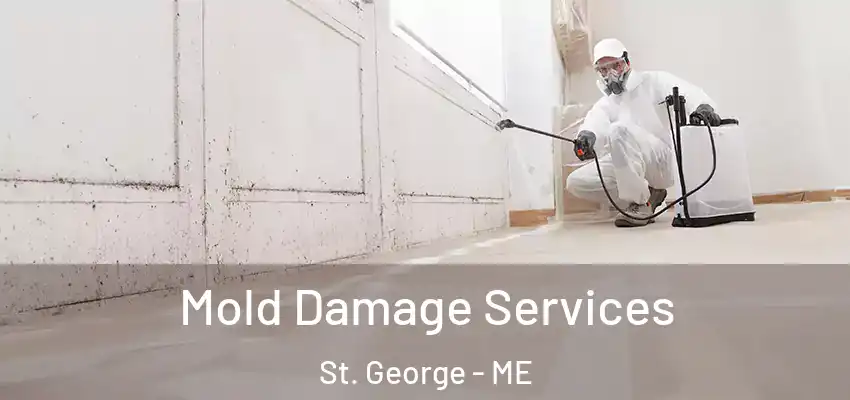 Mold Damage Services St. George - ME