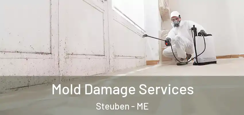 Mold Damage Services Steuben - ME