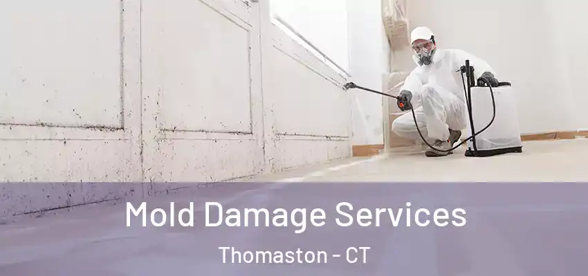 Mold Damage Services Thomaston - CT