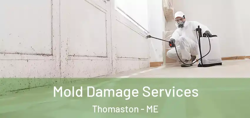 Mold Damage Services Thomaston - ME