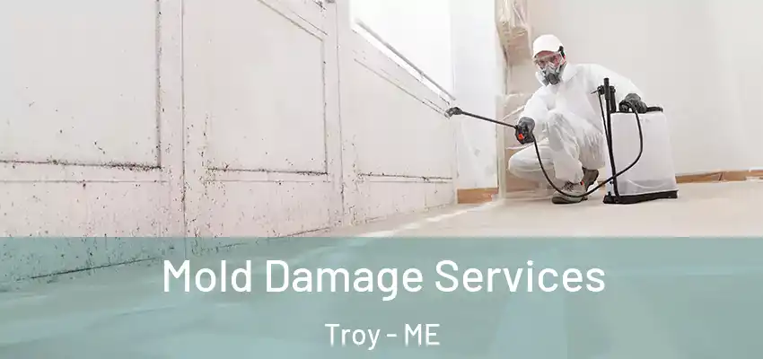 Mold Damage Services Troy - ME